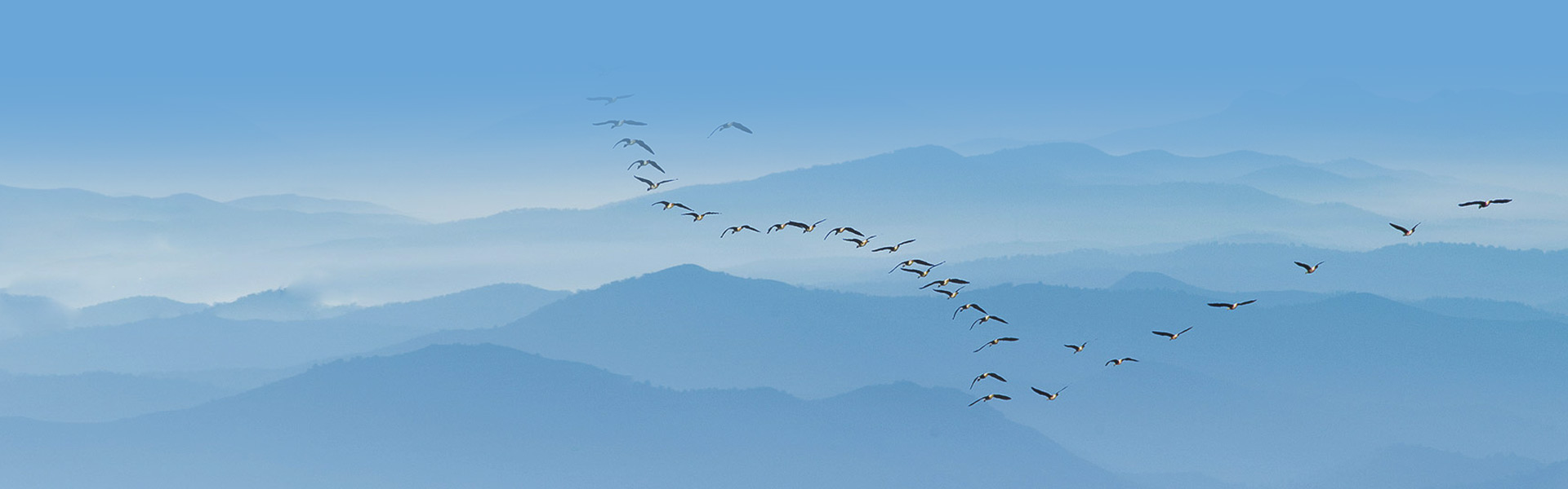 湖南四化工程檢測有限公司